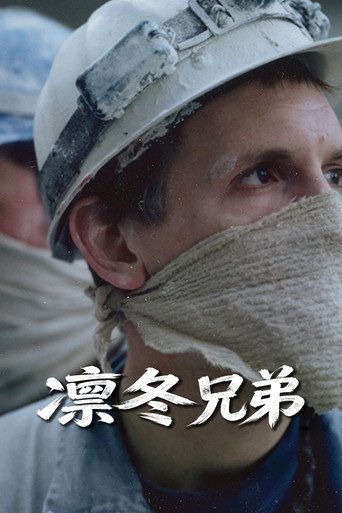 凛冬兄弟海报
