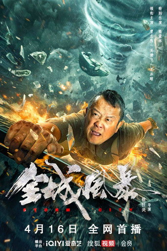 全城风暴海报