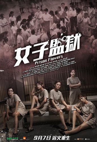 女囚风暴1995海报