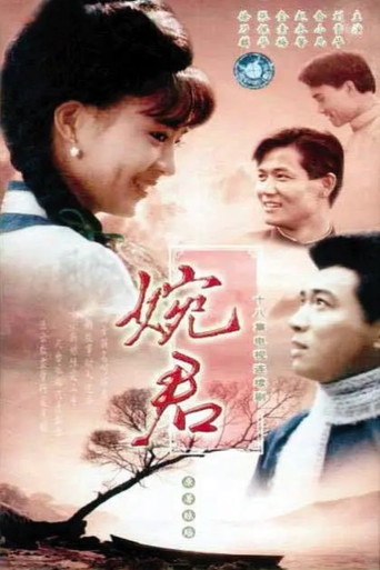 婉君海报