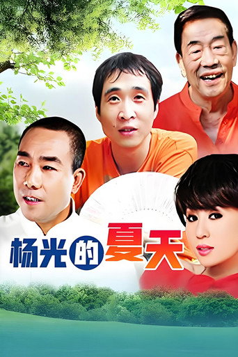 杨光的夏天海报
