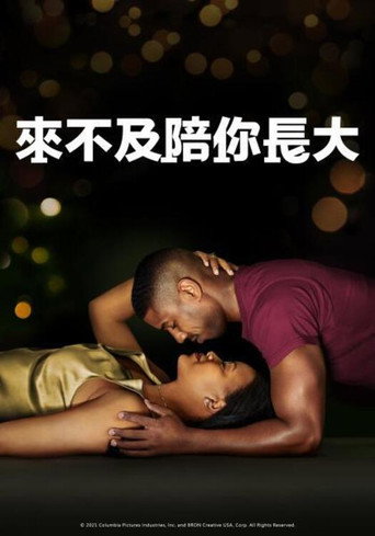 挚爱家书海报