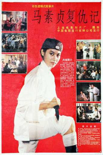 马素贞复仇记海报