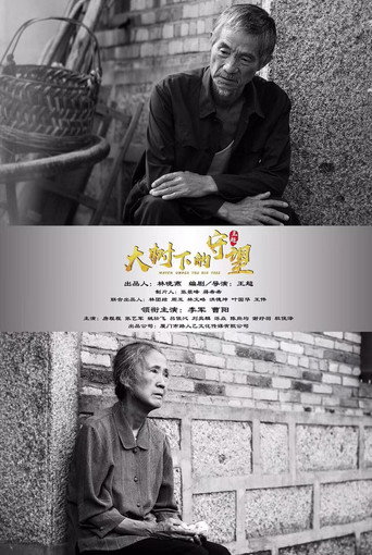 大树下的守望海报