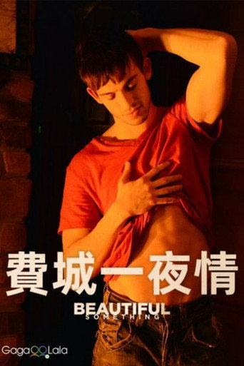 费城夜美丽海报