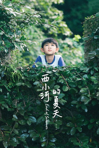 西小河的夏天海报