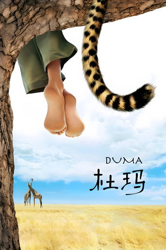 小豹杜玛海报