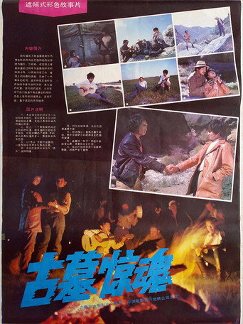 古墓惊魂海报