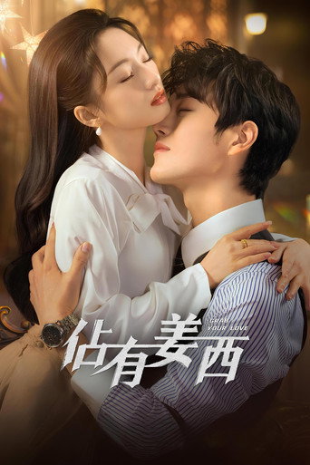 占有姜西海报
