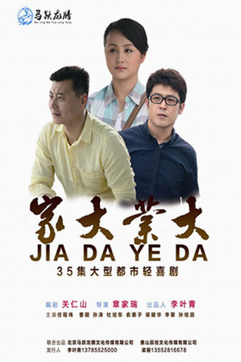 家大业大海报