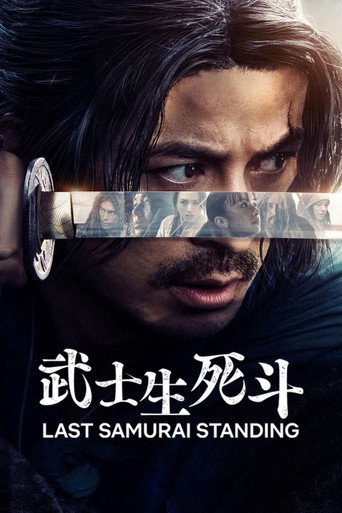 武士生死斗海报