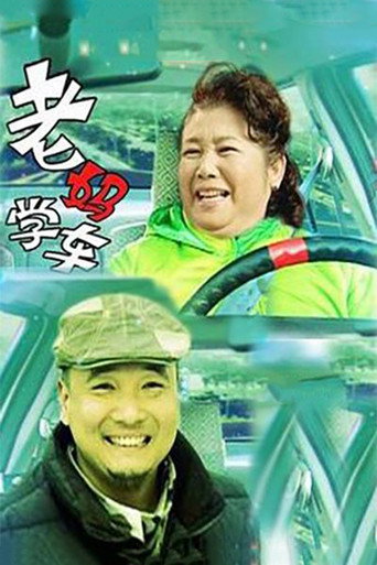 老妈学车海报