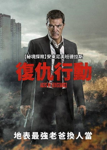 复仇行动海报