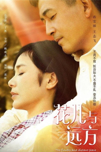 花儿与远方海报