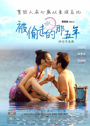 被偷走的那五年海报