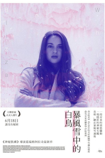 暴风雪中的白鸟海报