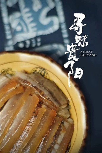 寻味贵阳海报