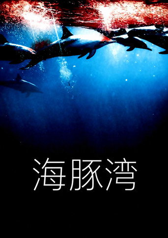 海豚湾海报
