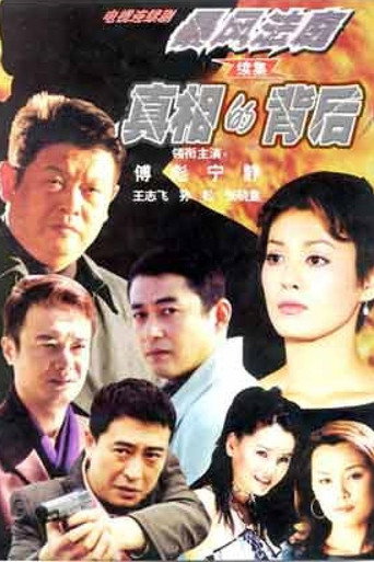 真相的背后海报