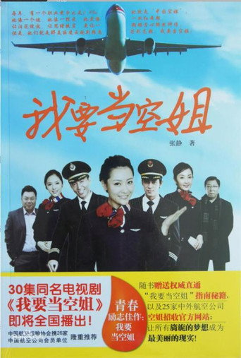 我要当空姐海报