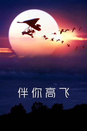 伴你高飞海报