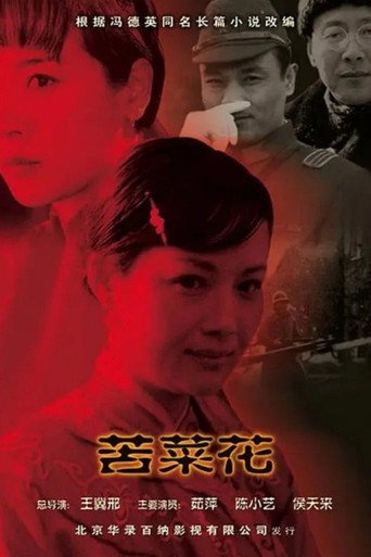 苦菜花海报