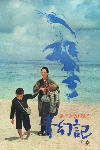青幻记海报