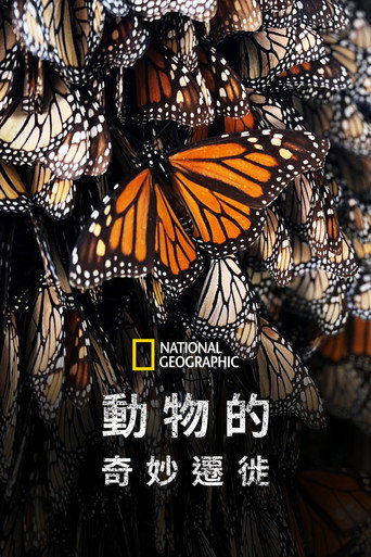 生灵奇旅海报
