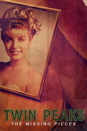 双峰：遗失的碎片海报