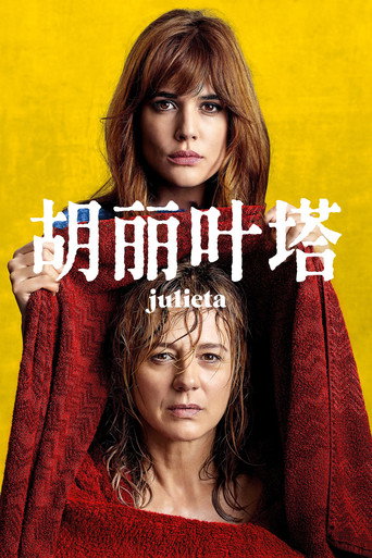 胡丽叶塔海报
