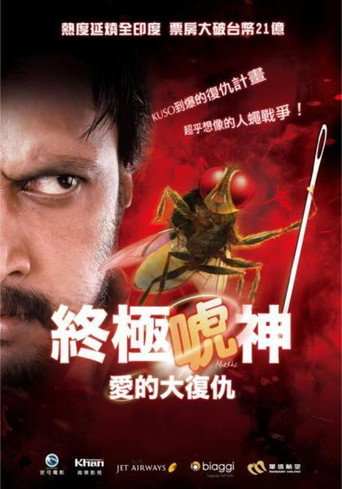 功夫小蝇海报