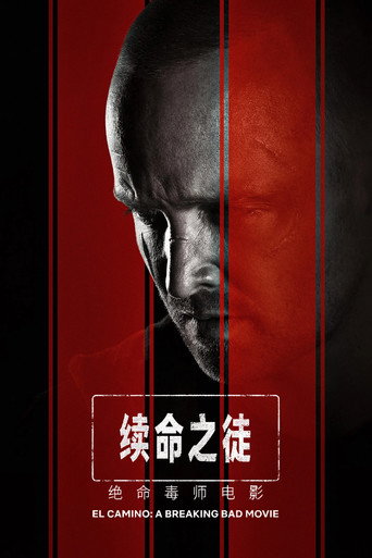 续命之徒：绝命毒师电影海报
