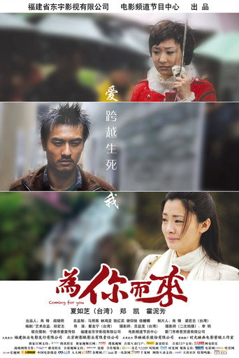 为你而来海报