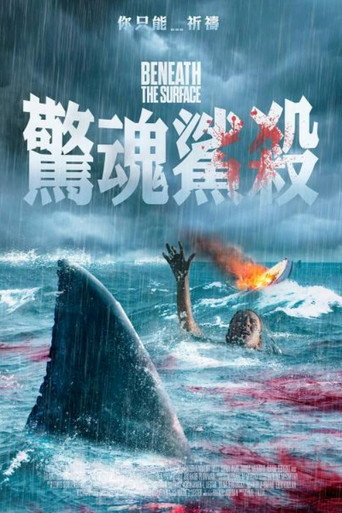 海面之下海报