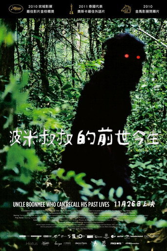 能召回前世的布米叔叔海报