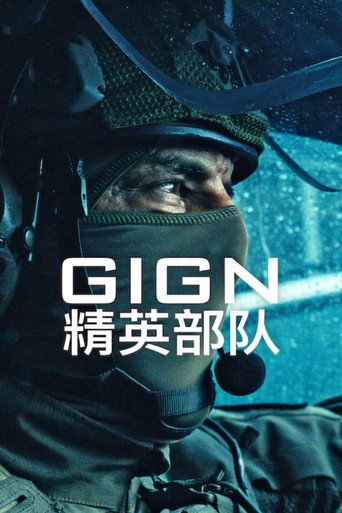 GIGN：精英部队海报