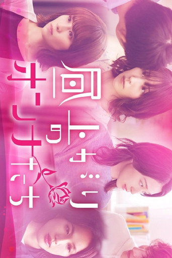 上午的女人们海报