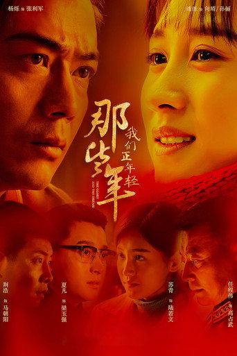 那些年，我们正年轻海报