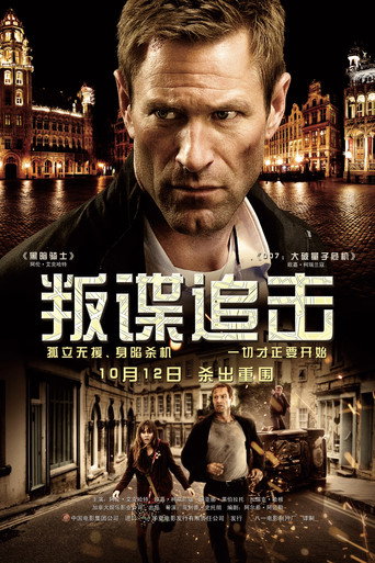 叛谍追击海报