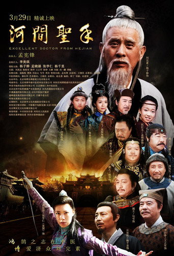 河间圣手海报