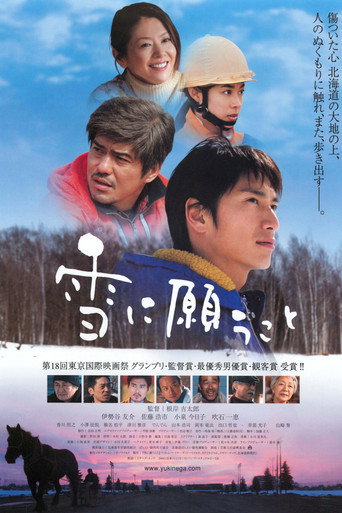 向雪祈祷海报