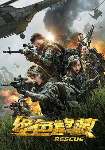 绝色营救海报