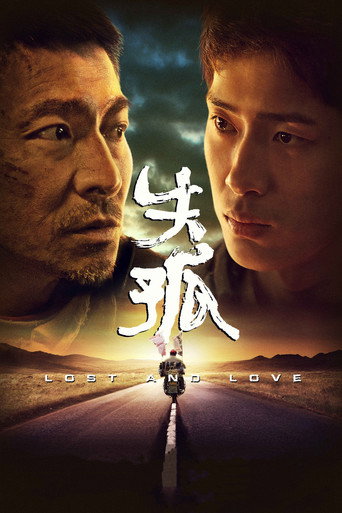 失孤海报