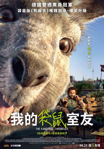袋鼠编年史海报
