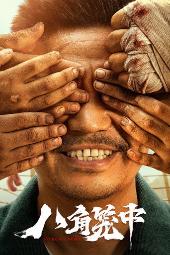 八角笼中海报