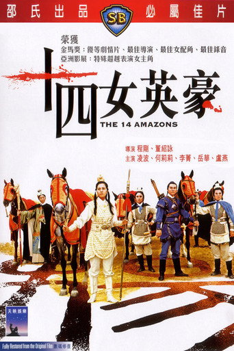 十四女英豪海报