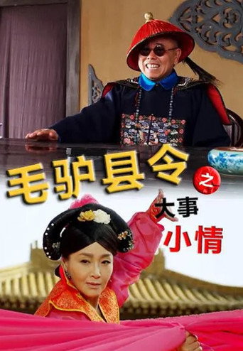 毛驴县令之大事小情海报