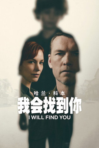 我会找到你海报