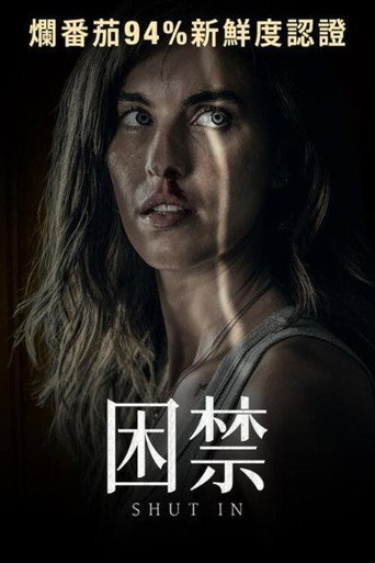 囚禁海报