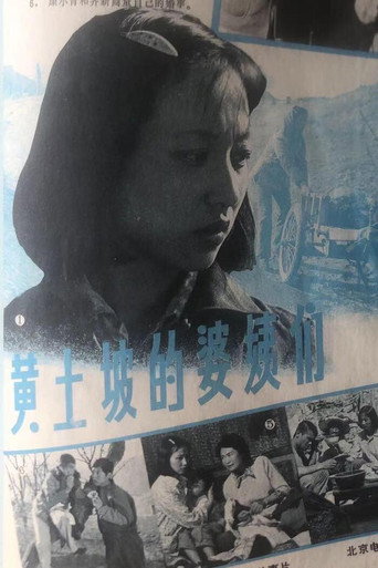 黄土坡的婆姨们海报